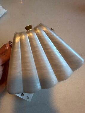 Zara Pearlescent Shell Clutch